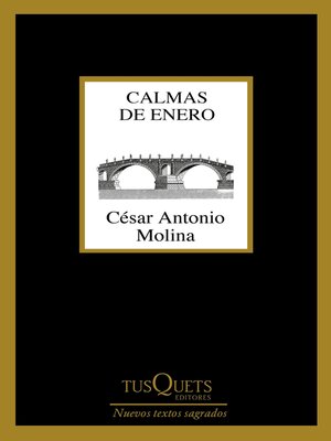 cover image of Calmas de enero